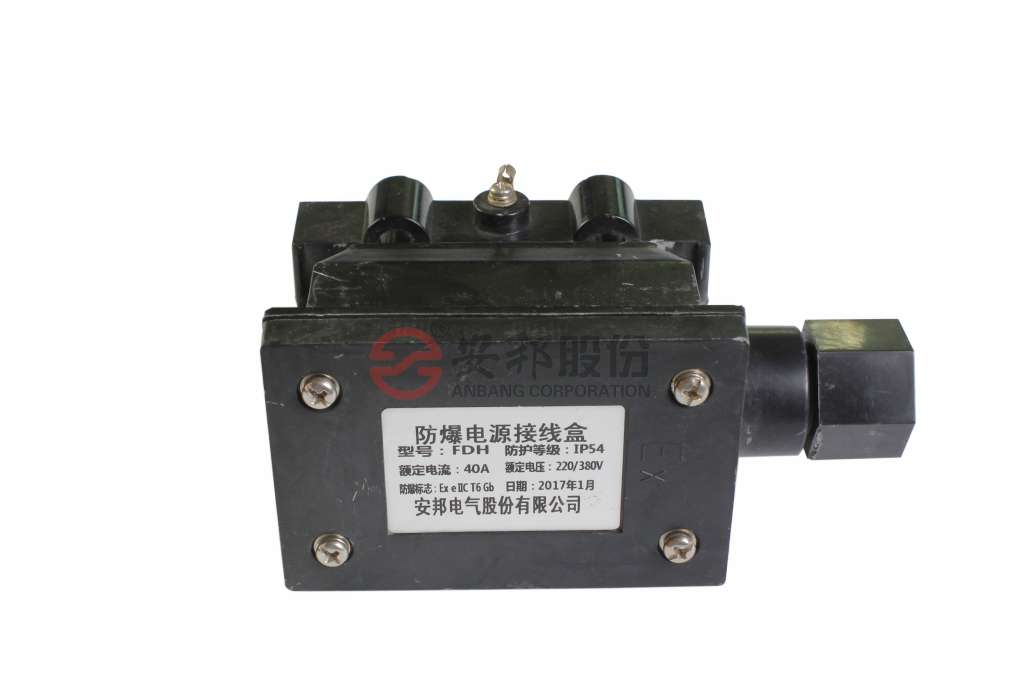 電伴熱帶電源接線盒的安裝方法(圖1) _MG_9340.jpg