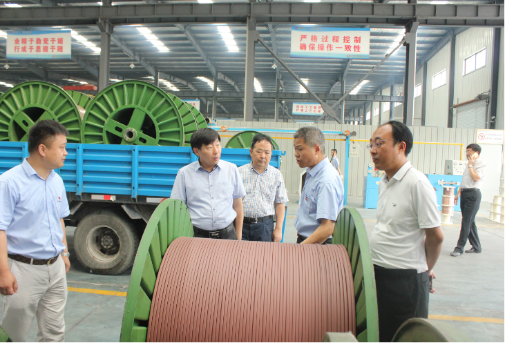 市委副書記賀家平蒞臨安邦視察調研(圖1)